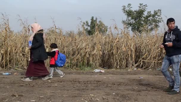 Refugees Running Cornfield Young Migrant Couple Escaping War Plastic Bag — Stockvideo