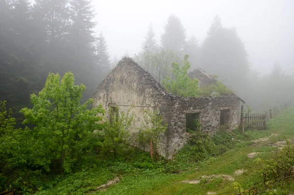 Vieille Ruinée Maison Dans Brouillard Mystique Matin Maison Pierre Abandonnée — Photo