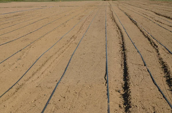 Campo Riego Grande Listo Para Siembra Primavera Superficie Agrícola Lista — Foto de Stock