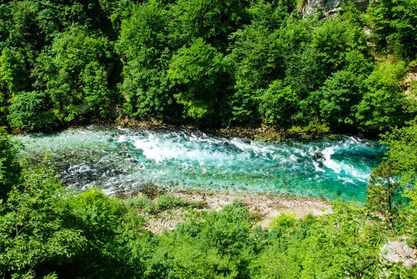 Hegyi Vízesés Örökzöld Fákkal — Stock Fotó