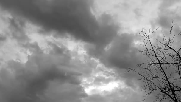 Chuva Nuvem Céu Tempo Lapso Com Árvore Silhueta — Vídeo de Stock