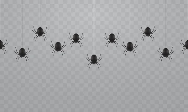 黑色挂在透明的背景蜘蛛 万圣节蜘蛛网上的恐怖蜘蛛 — 图库矢量图片