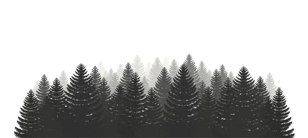 Bosque de coníferas. Siluetas siempre verdes árboles de coníferas, árbol de Navidad, abeto. Camping — Vector de stock