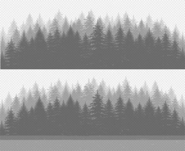 Jehličnatý borový les s jedlemi. Průhledný efekt stínů rostlin. — Stockový vektor