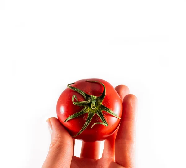 Rote Reife Tomaten Auf Weißem Hintergrund — Stockfoto