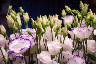 Beyaz ve mor lisianthus çiçek buketi