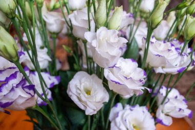 Beyaz ve mor lisianthus çiçek buketi