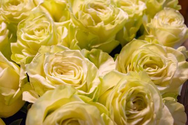 Beyaz ve pembe güller çiçek buketi