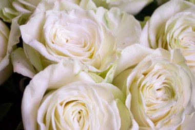 Beyaz ve pembe güller çiçek buketi