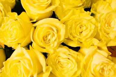 Sarı Gül çiçek buketi