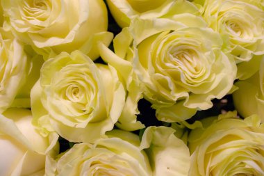 Beyaz ve pembe güller çiçek buketi