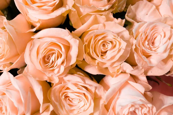 Bílé Růžové Růže Kytice — Stock fotografie