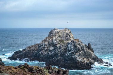 Pasifik Okyanusu mavi sularda deniz kayalıklarla