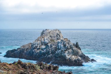 Pasifik Okyanusu mavi sularda deniz kayalıklarla