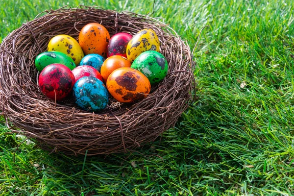 Huevos Pascua Codorniz Nido Sobre Hierba Verde —  Fotos de Stock