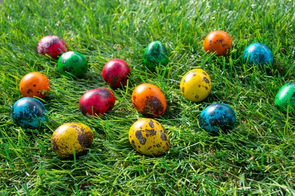 Huevos Pascua Pintados Sobre Hierba Verde —  Fotos de Stock