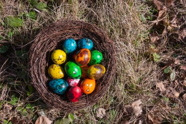 Bahar çim üzerinde bir yuva Boyalı Paskalya yumurtası