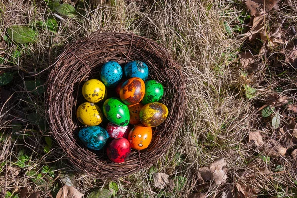 Malowane Jajka Wielkanocne Gnieździe Wiosennej Trawie — Zdjęcie stockowe