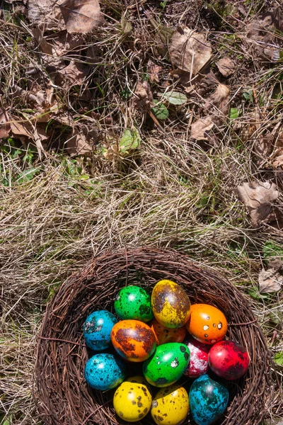 Geschilderde Paaseieren Een Nest Lente Gras — Stockfoto