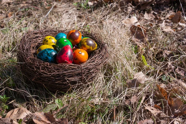 Ovos Páscoa Pintados Ninho Grama Primavera — Fotografia de Stock