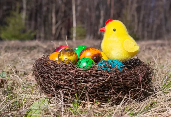 Geschilderde Paaseieren Een Schattig Geel Kuiken Een Nest Het Voorjaar — Stockfoto