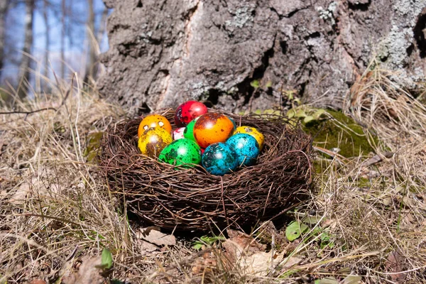 Œufs Pâques Peints Dans Nid Sur Herbe Printanière — Photo