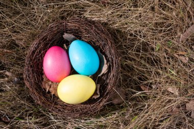 Bahar çim üzerinde bir yuva Boyalı Paskalya yumurtası