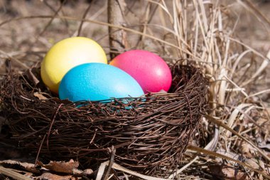 Bahar çim üzerinde bir yuva Boyalı Paskalya yumurtası