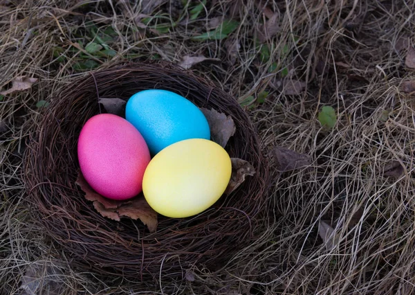 Geschilderde Paaseieren Een Nest Lente Gras — Stockfoto