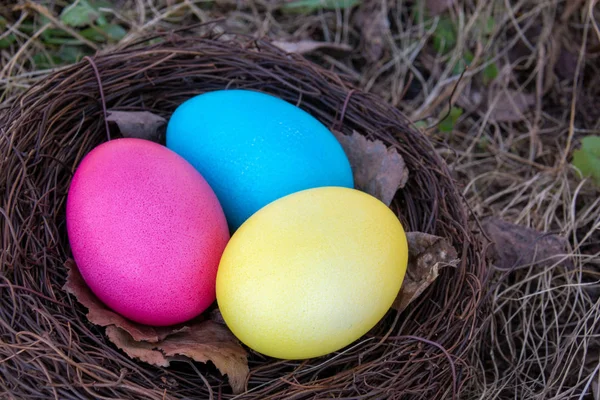 Huevos Pascua Pintados Nido Sobre Hierba Primavera —  Fotos de Stock