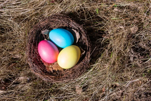 Huevos Pascua Pintados Nido Sobre Hierba Primavera —  Fotos de Stock