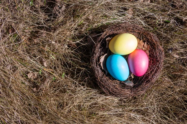 Œufs Pâques Peints Dans Nid Sur Herbe Printanière — Photo