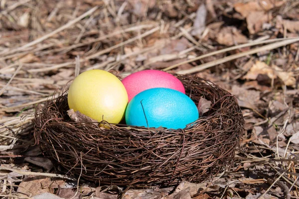 Geschilderde Paaseieren Een Nest Lente Gras — Stockfoto