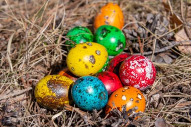 Bahar çim bir ormanda bıldırcın Paskalya yumurta süslenmiş