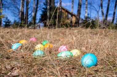 Bahar çim bir ormanda Paskalya süslenmiş yumurta