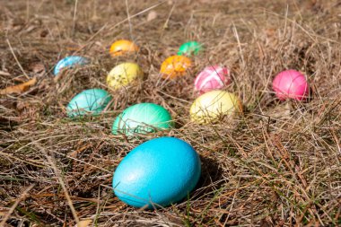 Bahar çim bir ormanda Paskalya süslenmiş yumurta