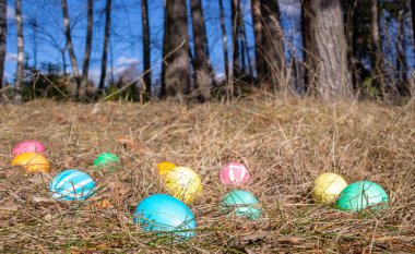 Bahar çim bir ormanda Paskalya süslenmiş yumurta