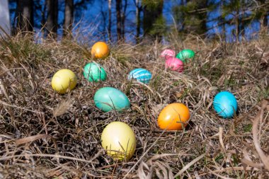 Bahar çim bir ormanda Paskalya süslenmiş yumurta