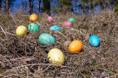 Bahar çim bir ormanda Paskalya süslenmiş yumurta