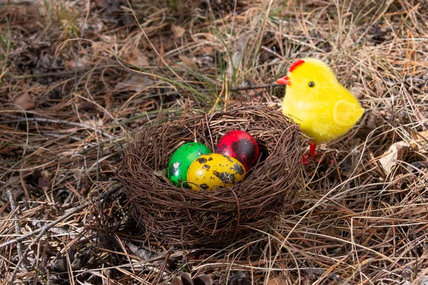 Pasen Versierd Eieren Een Nest Een Schattig Geel Kuiken Een — Stockfoto