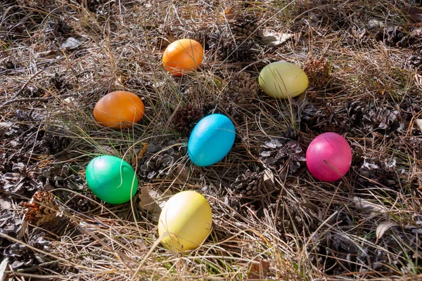 Huevos Decorados Con Pascua Bosque Sobre Hierba Primavera —  Fotos de Stock