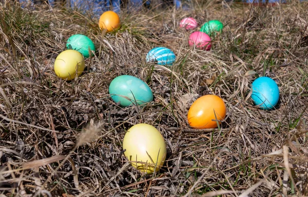 Huevos Decorados Con Pascua Bosque Sobre Hierba Primavera —  Fotos de Stock