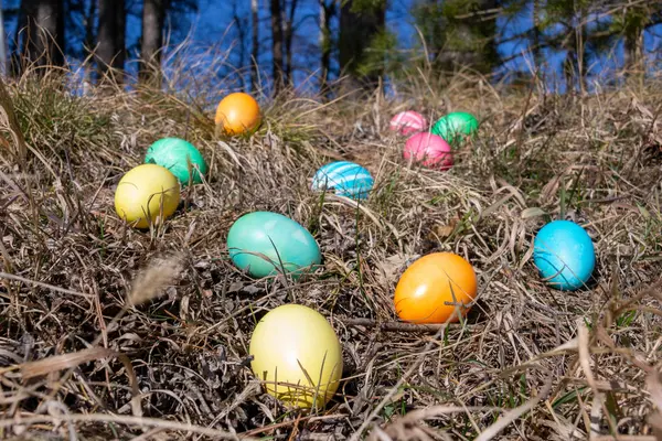 Oeufs Décorés Pâques Dans Une Forêt Sur Herbe Printanière — Photo