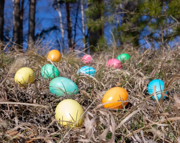 Huevos Decorados Con Pascua Bosque Sobre Hierba Primavera —  Fotos de Stock