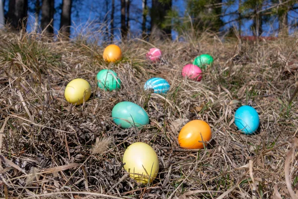 Bahar çim bir ormanda Paskalya süslenmiş yumurta