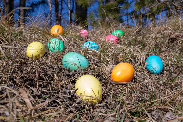 Bahar çim bir ormanda Paskalya süslenmiş yumurta