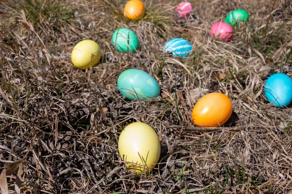 Huevos Decorados Con Pascua Bosque Sobre Hierba Primavera —  Fotos de Stock