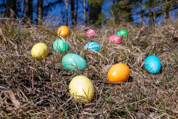 Huevos Decorados Con Pascua Bosque Sobre Hierba Primavera —  Fotos de Stock