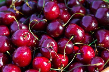 Olgun kırmızı kiraz