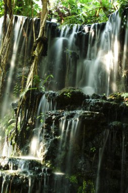 Tayland Provence Jungle Şelalesi